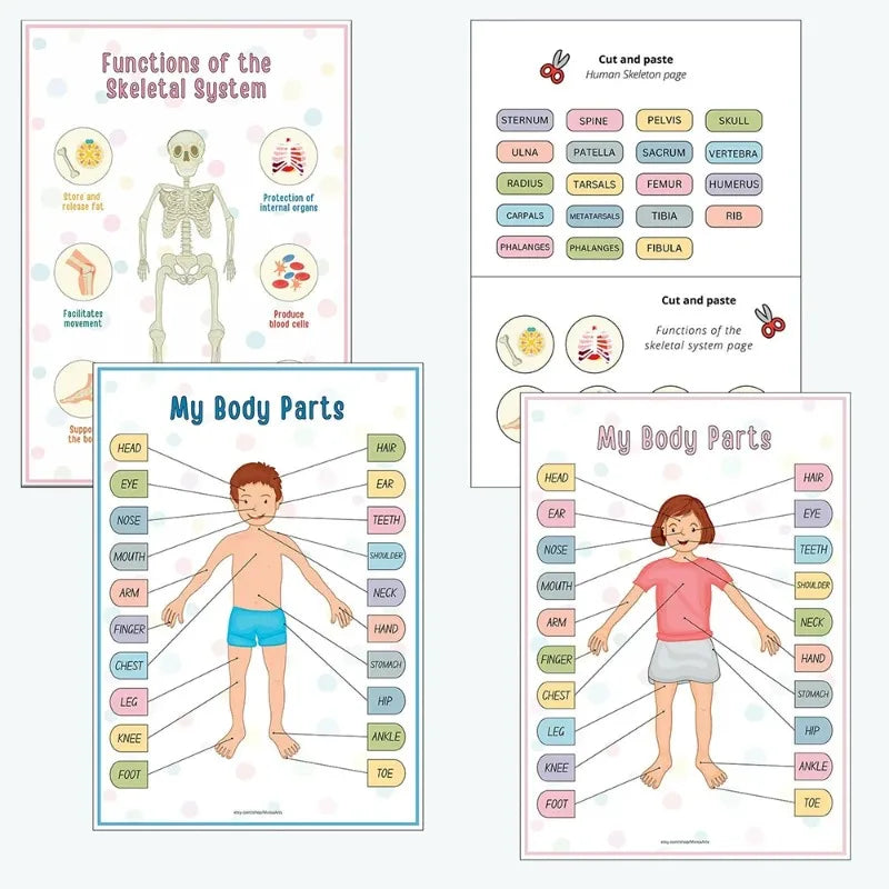 Quiet Book Anatomie