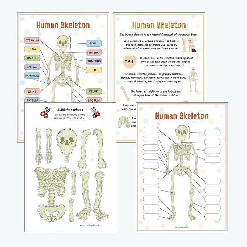 Quiet Book Anatomie