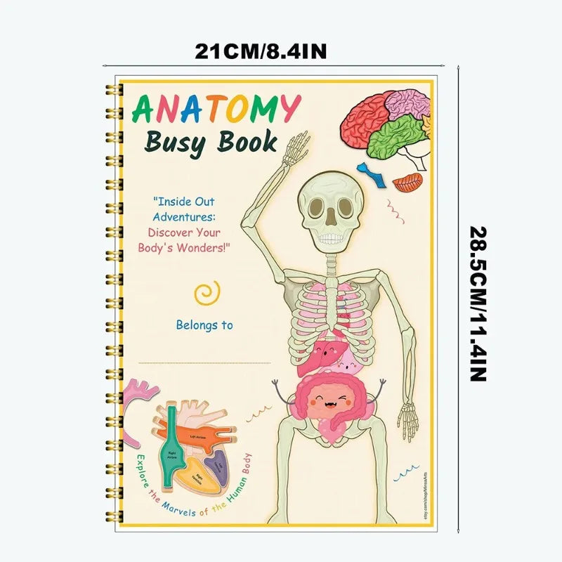Quiet Book Anatomie