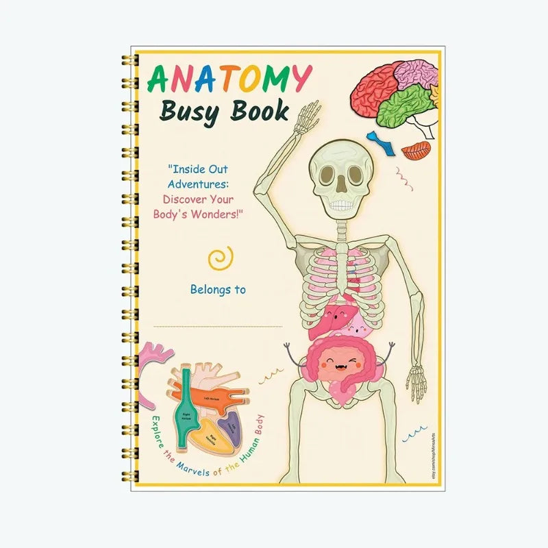 Quiet Book Anatomie